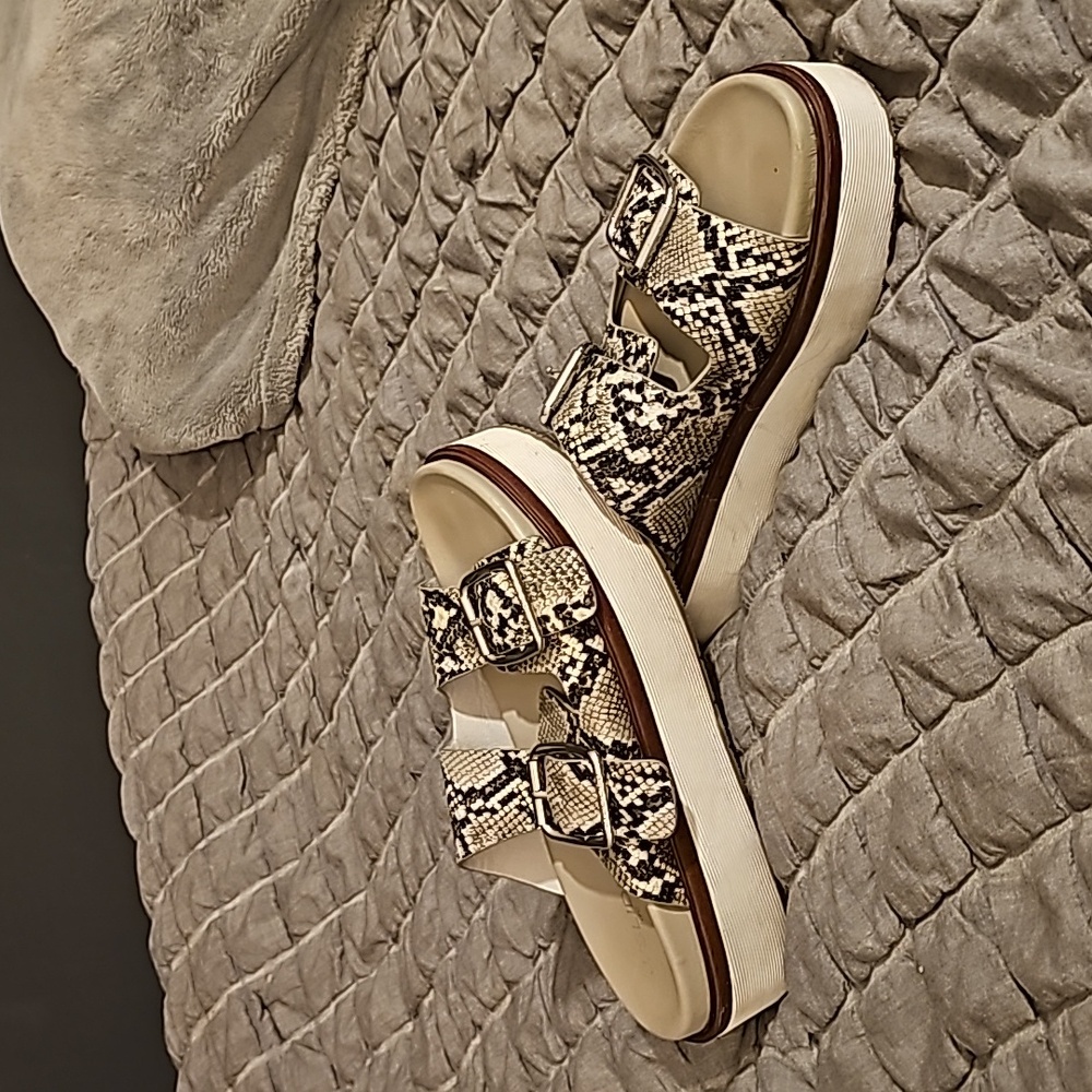 Snake Platform Slides - image 1